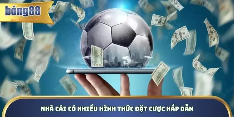 Nhà cái có nhiều hình thức đặt cược hấp dẫn