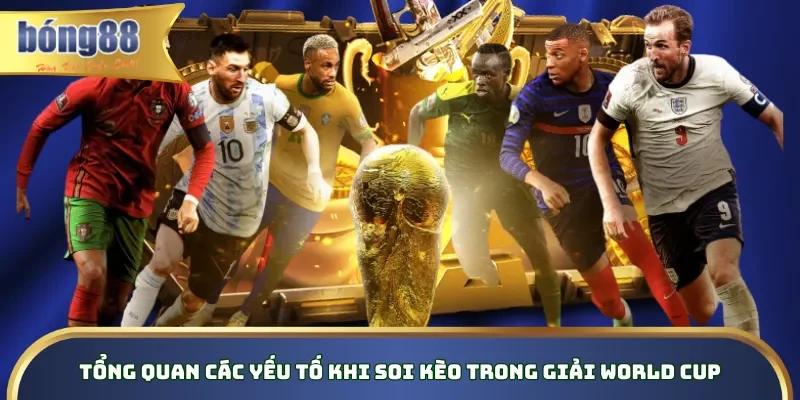 Tổng quan các yếu tố khi soi kèo trong giải World Cup